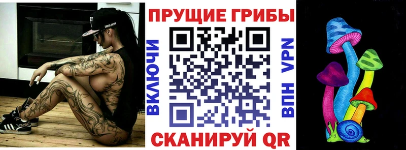 наркошоп  Зарайск  Псилоцибиновые грибы GOLDEN TEACHER 